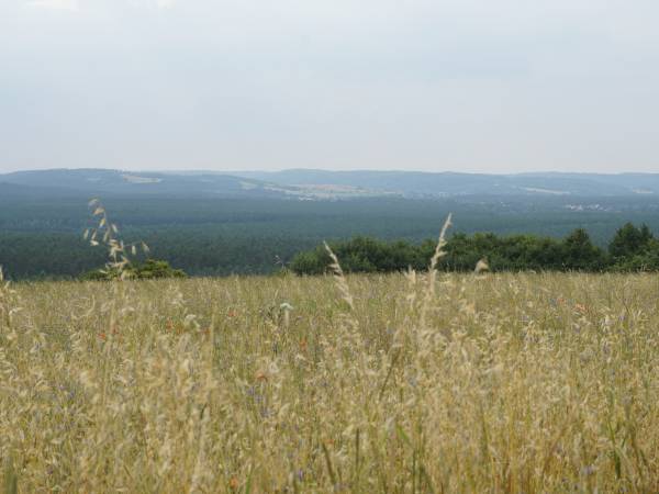 Na Górze Agroturystyka