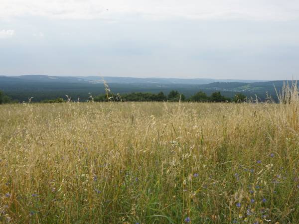 Na Górze Agroturystyka