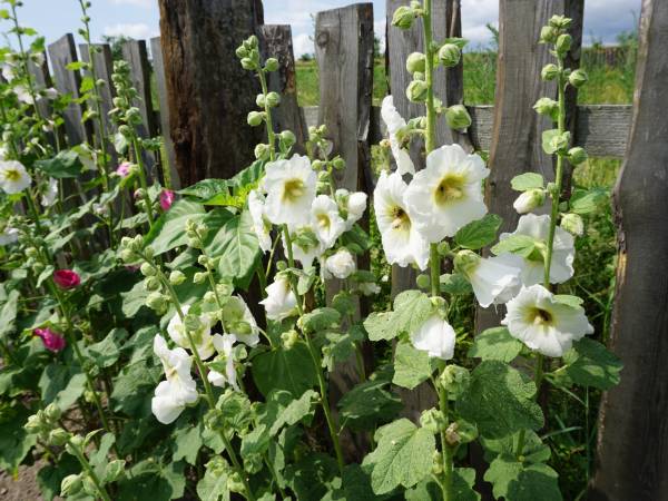 Na Górze Agroturystyka