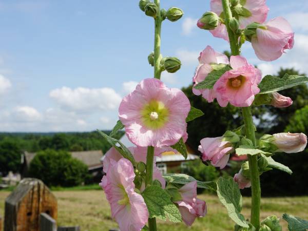 Na Górze Agroturystyka