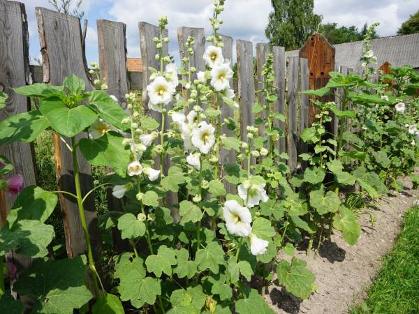 Na Górze Agroturystyka