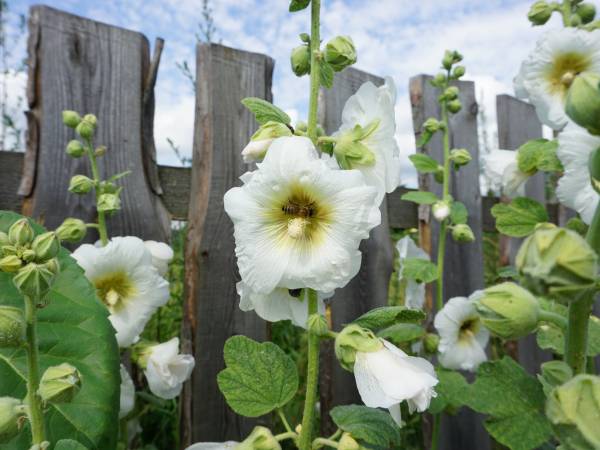 Na Górze Agroturystyka