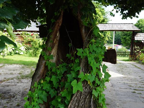 Na Górze Agroturystyka