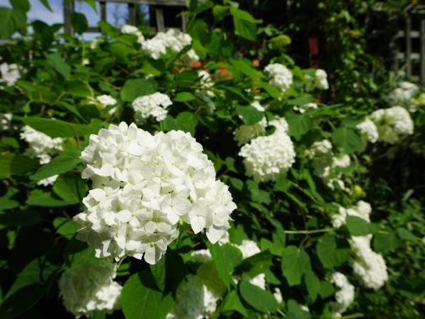 Na Górze Agroturystyka