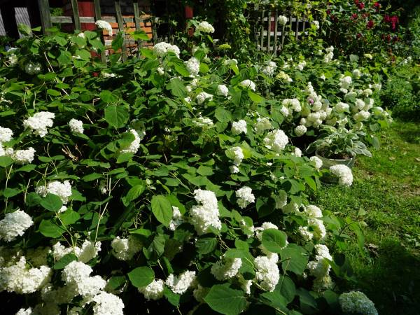 Na Górze Agroturystyka