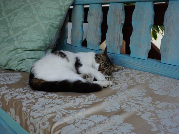 Na Górze Agroturystyka