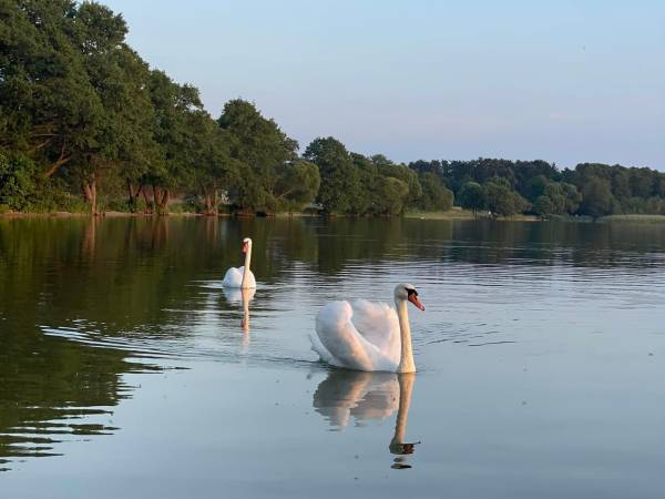 Domki Plaża Kownatki