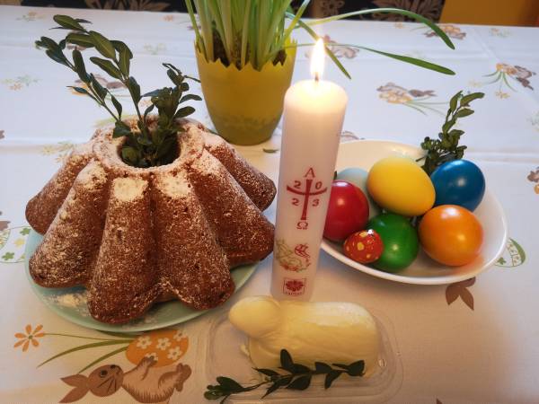 Agroturystyka Arenda 