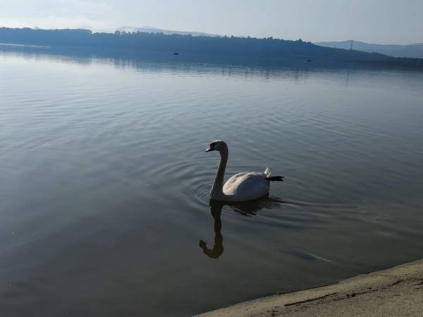 Domki w Ogrodzie Zarzecze nad Jeziorem Żywieckim