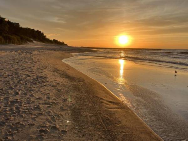 Domki całoroczne ILIOS