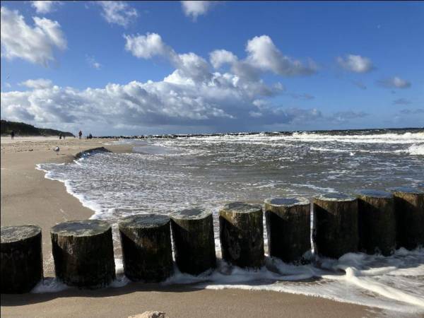 Domki całoroczne ILIOS