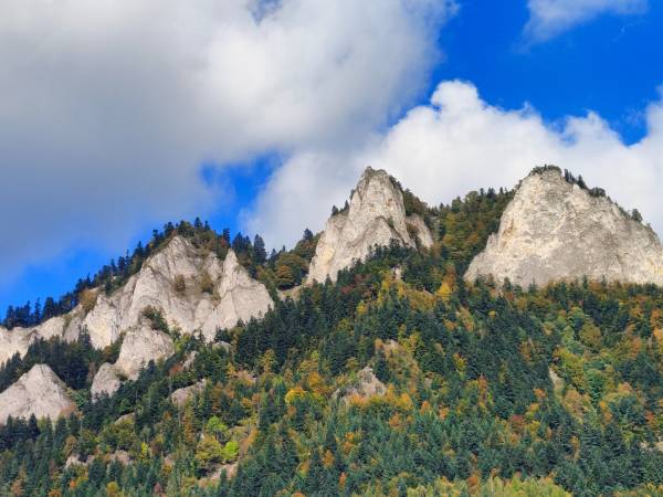 Domek Otulony Słońcem