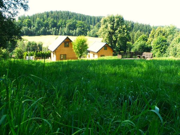 Domki w Bartnicy Góry Sowie