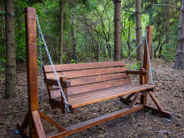 Zagajnik Białowieża