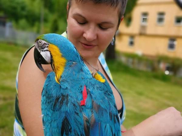 SSM Wojtek Jasiu Ara