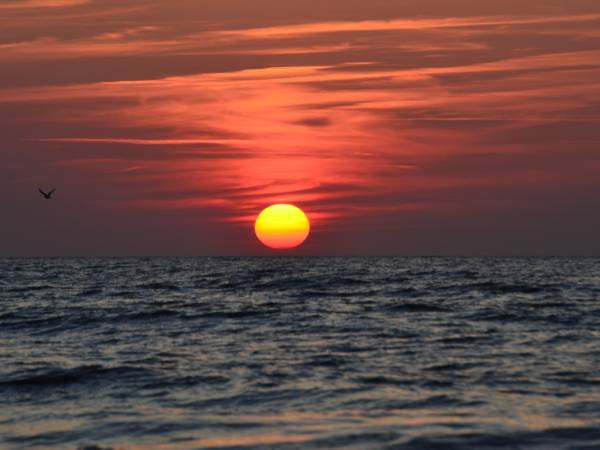 Dom Aurora Pokoje i Apartamenty w Dziwnówku