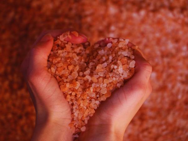 Wellness - chata solna