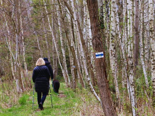 niebieski szlak prowadzący na Łysą Górę