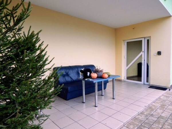 Noclegi u Oli i Oliwi