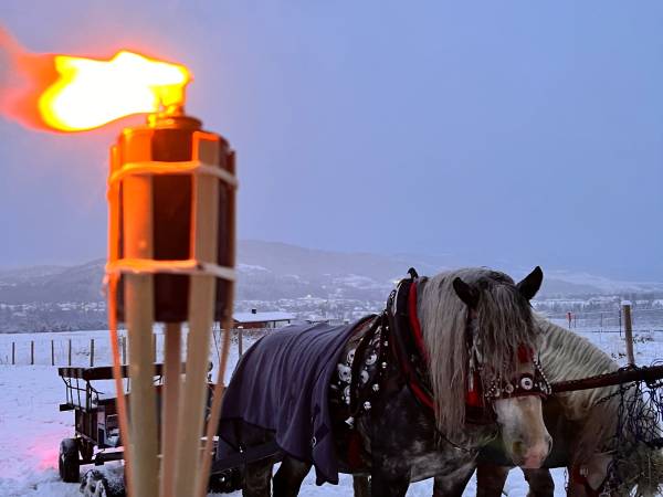 Chata U Ali - Noclegi Milówka, Żywiec