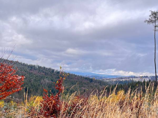 Chata U Ali - Noclegi Milówka, Żywiec