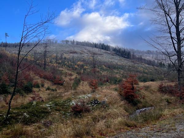 Chata U Ali - Noclegi Milówka, Żywiec