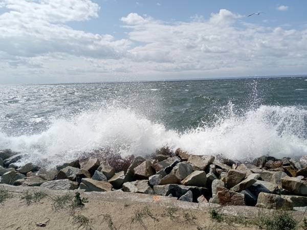 Apartamenty Złote Kłosy