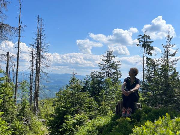 Chata U Ali - Noclegi Milówka, Żywiec