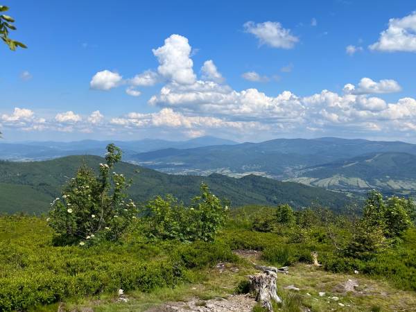 Chata U Ali - Noclegi Milówka, Żywiec