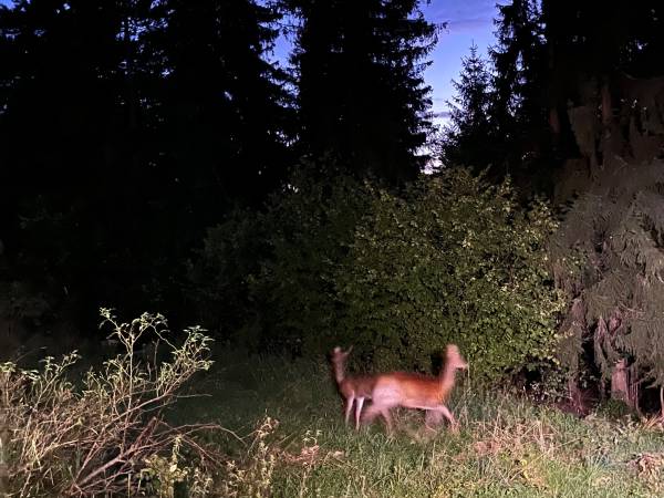 Chata U Ali - Noclegi Milówka, Żywiec