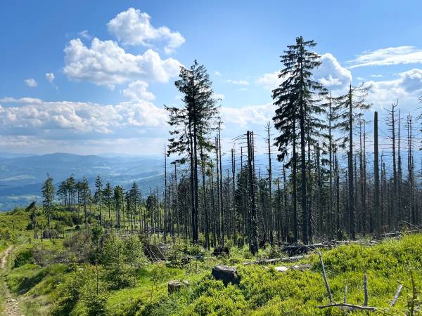Chata U Ali - Noclegi Milówka, Żywiec