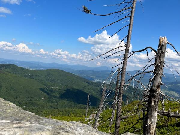 Chata U Ali - Noclegi Milówka, Żywiec