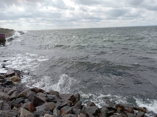 Apartamenty Złote Kłosy