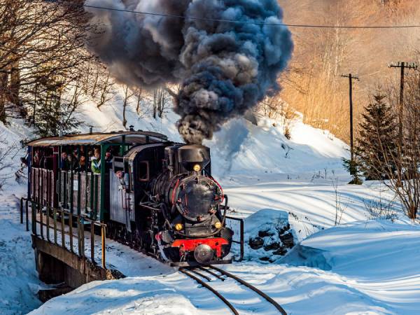 Domki i pokoje Drozdówka nad Soliną
