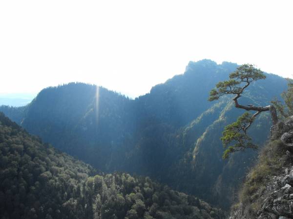  POKOJE & APARTAMENTY U BARTKA