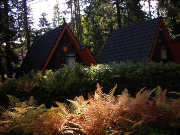 leśna chatka 2-osobowa