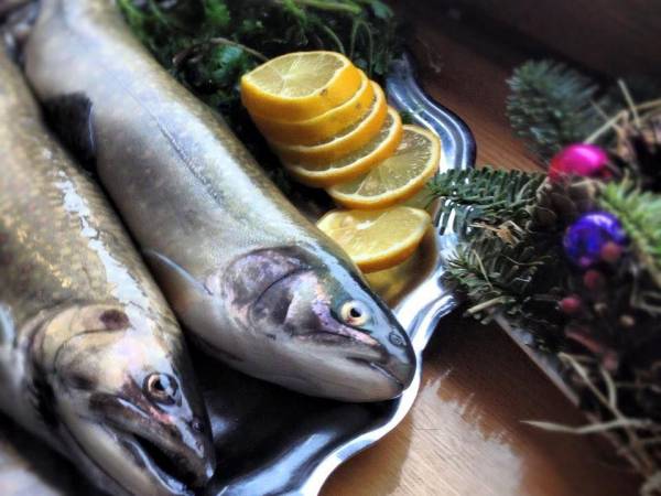 Siumno Izba Bed & Breakfast 