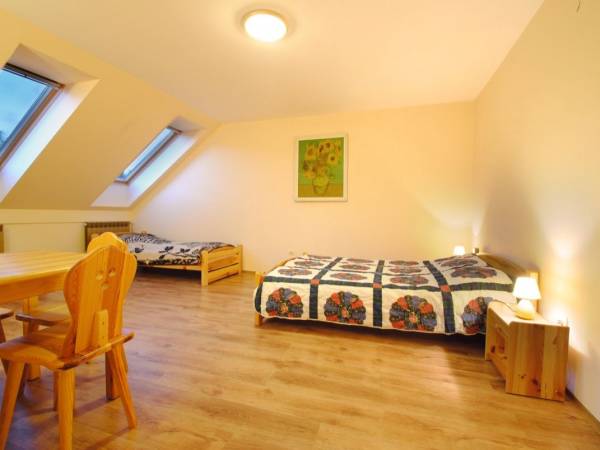 Chata z widokiem na POŁONINĘ WETLIŃSKĄ