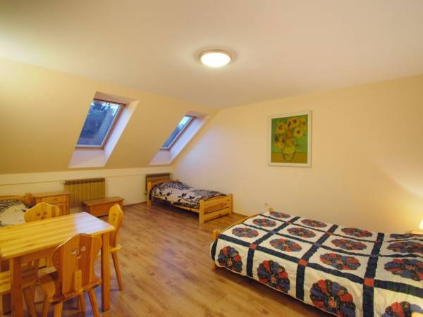 Chata z widokiem na POŁONINĘ WETLIŃSKĄ