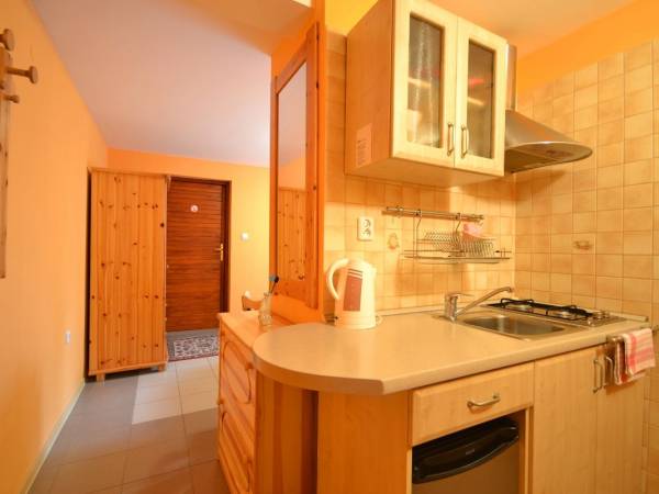 Kuchnia w pokoju typu studio.