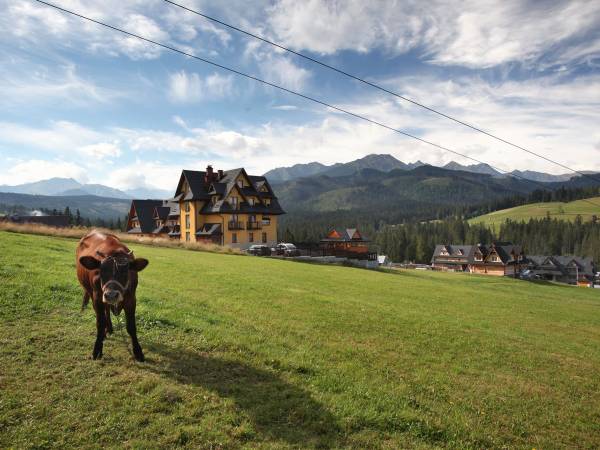 Pokoje Gościnne Stanek 