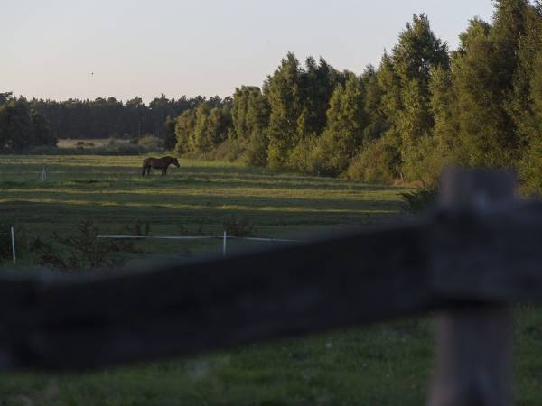 Dom Wypoczynkowy Irmina