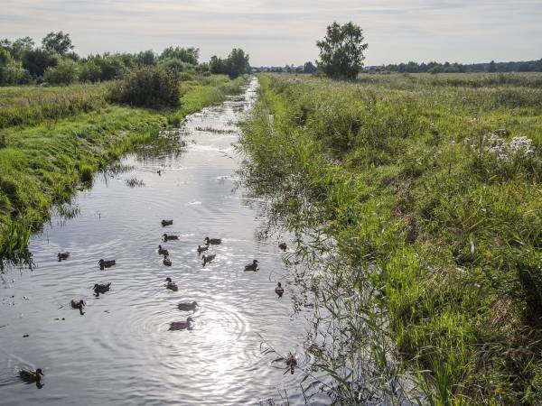Dom Wypoczynkowy Irmina