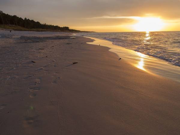 Dom Wypoczynkowy Irmina