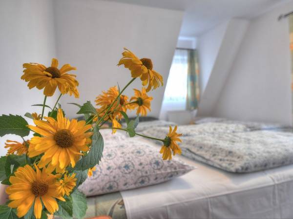 Ośrodek Wypoczynkowy Bukowy Gaj 