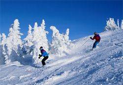 Olimp Pokoje i Apartamenty 