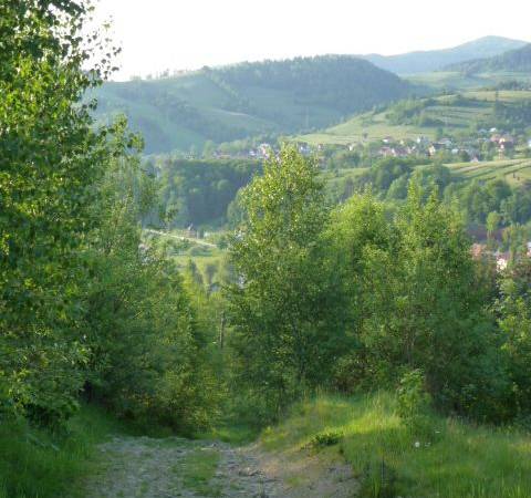 LEŚNA noclegi w GÓRACH