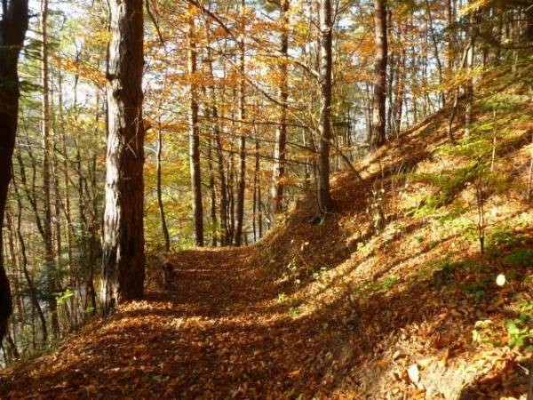 LEŚNA noclegi w GÓRACH
