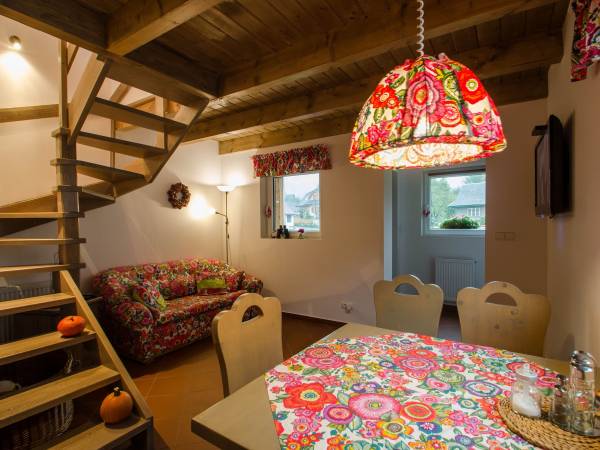 Pokój dzienny z aneksem