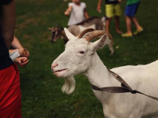 Pokoje Gościnne Duda
